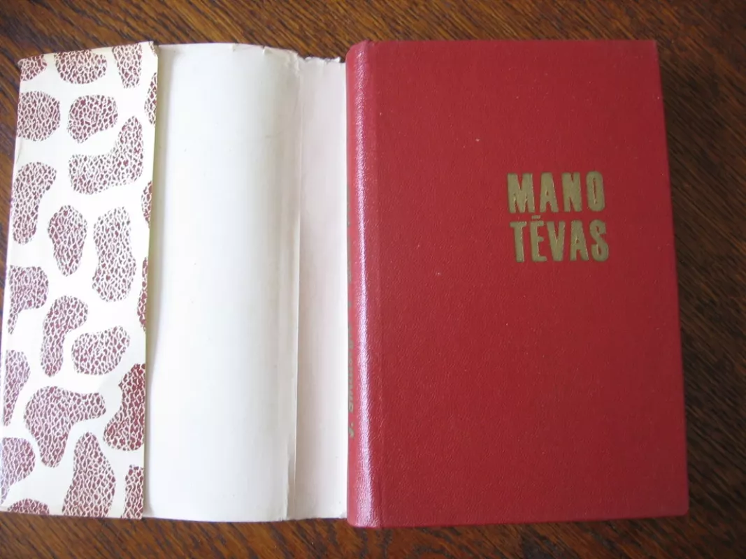 Mano tėvas - Jurgita Smalstytė, knyga 3