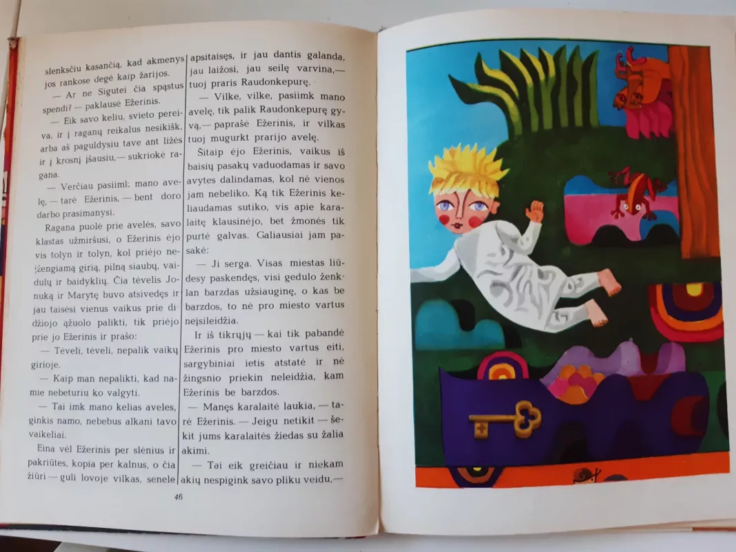 Pasaka apie narsią Vilniaus mergaitę ir galvažudį Žaliabarzdį - Aldona Liobytė, knyga 4