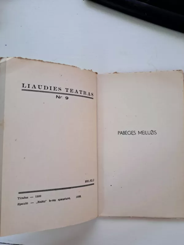 Pabėgęs meilužis - Birutė Rutkauskienė, knyga 3