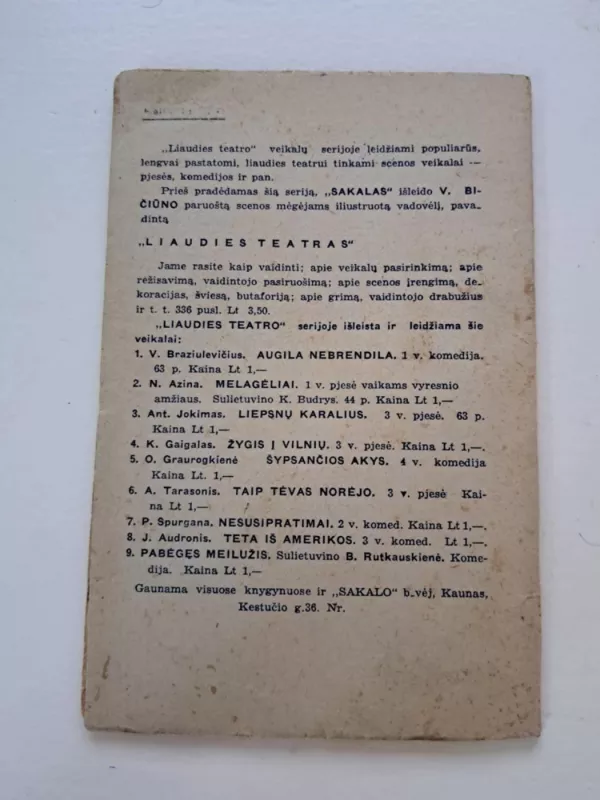 Pabėgęs meilužis - Birutė Rutkauskienė, knyga 4