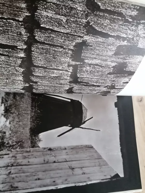 Lietuvos technikos paminklai. Vėjo malūnai - A. Andrejevas, knyga 6