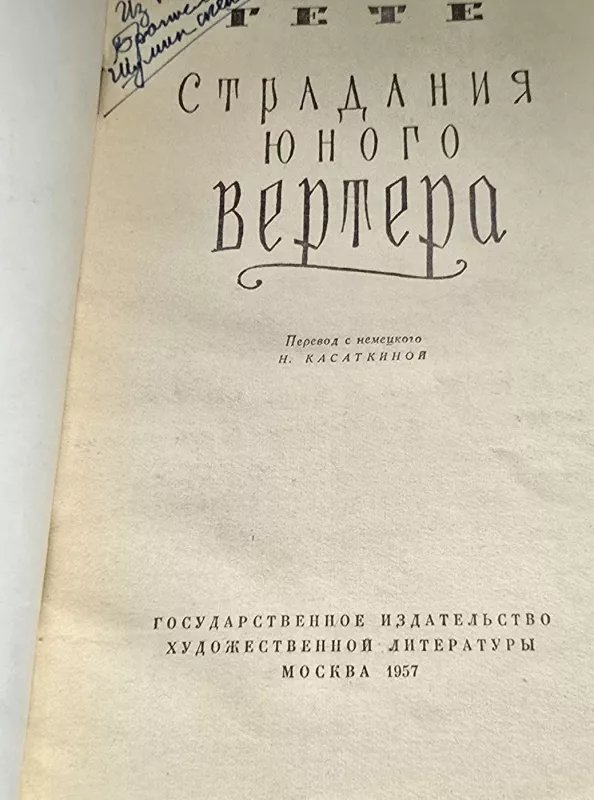 Jaunojo Verterio kančios - Getė J.V., knyga 3