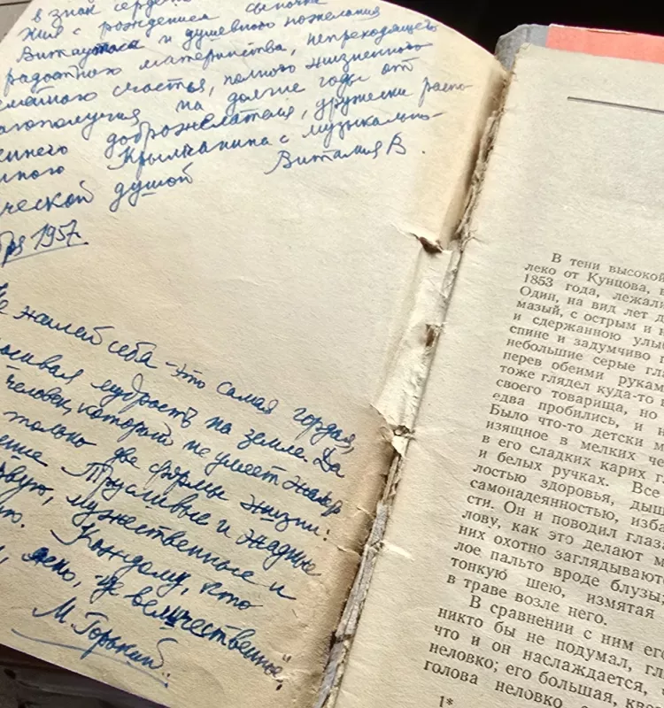 Išvakarėse - I. Turgenevas, knyga 3