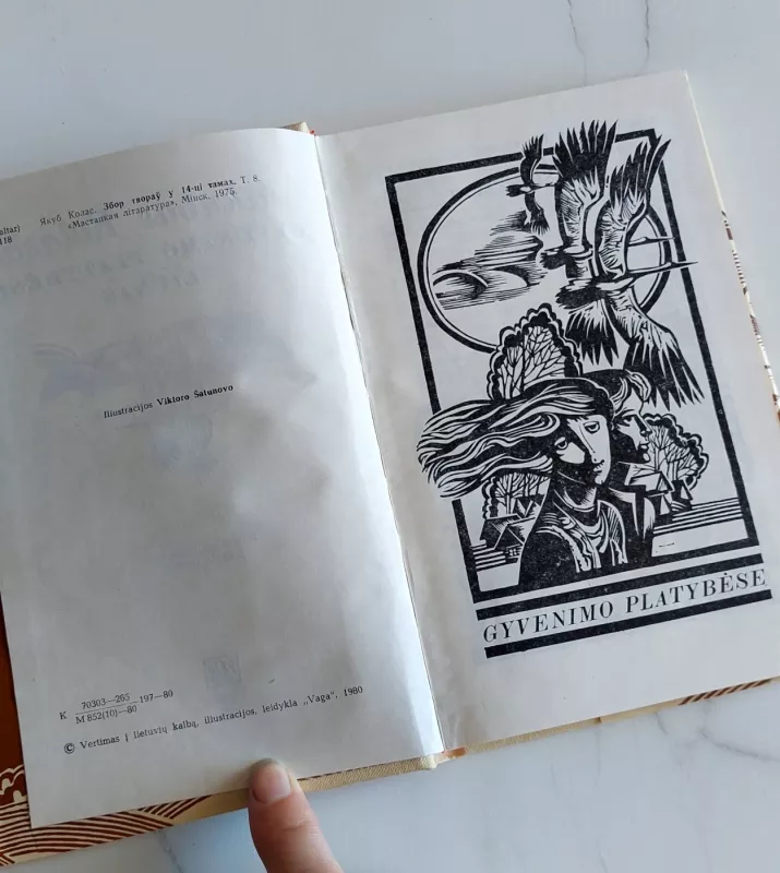 Gyvenimo platybėse. Liūnas - Jokubas Kolasas, knyga 3