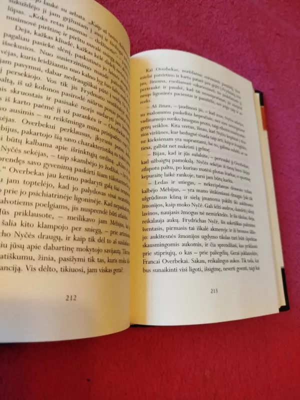 Paskutinis Nyčės sapnas - Joachim Kohler, knyga 4