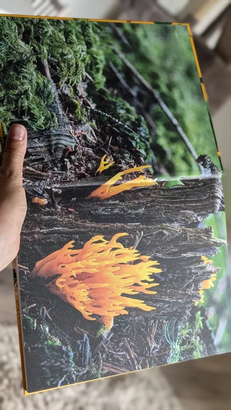 Gyvas miško pasaulis - Selemonas Paltanavičius, knyga 2