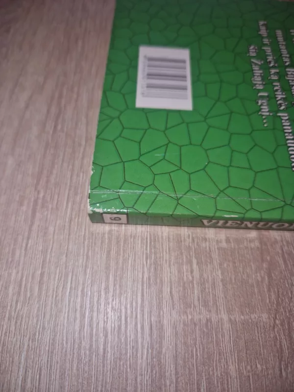 Vienuolynas. Vorų pasaulis (9) - Colin Wilson Norman Seamon, knyga 5