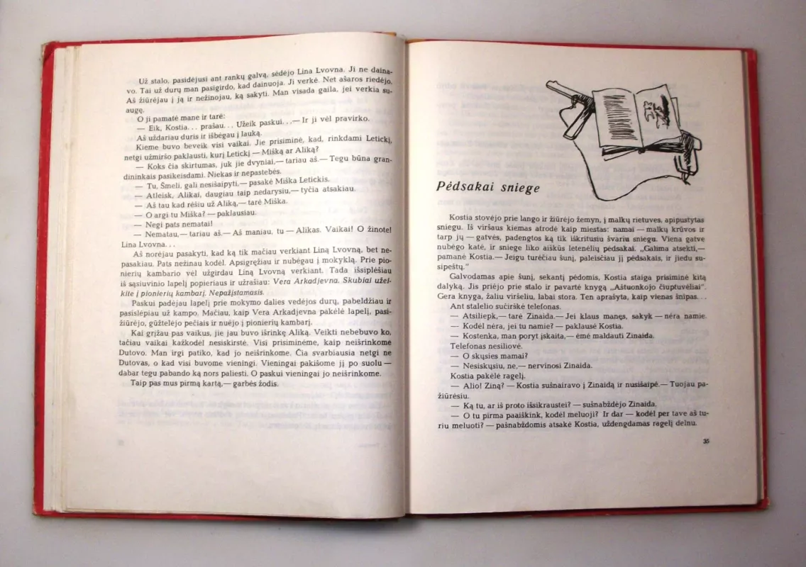 Borka, aš ir nematomasis - Jurijus Tominas, knyga 6