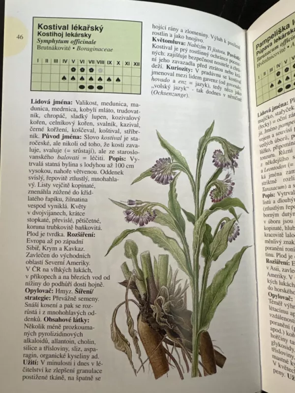 Rostliny na každém kroku - Jiri Kolbek, knyga 5