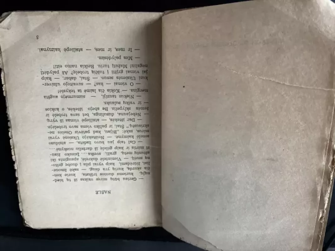 Upės dovana - Marija Lastauskienė, knyga 4