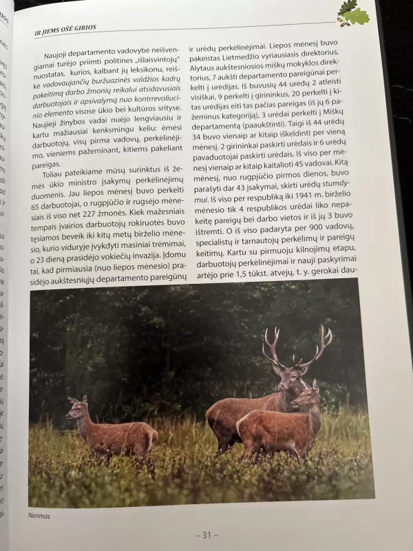 Ir jiems ošė girios - Brukas, knyga 3