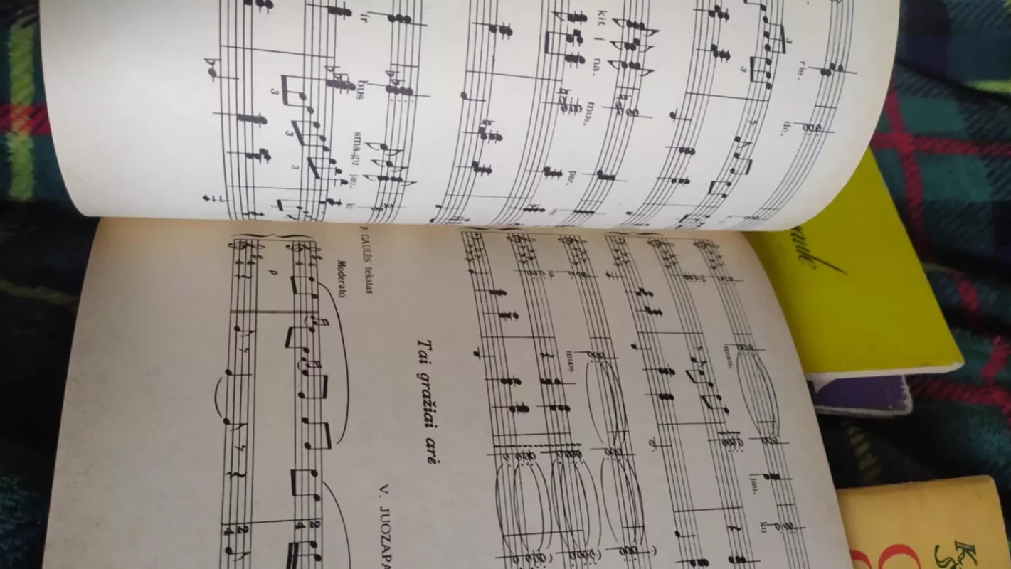 Jaunystės saulė - Vida Rimaitytė, knyga 4