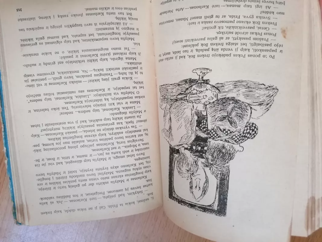 Mažylis ir Karlsonas, kuris gyvena ant stogo - ASTRIDA LINDGREN, knyga 6