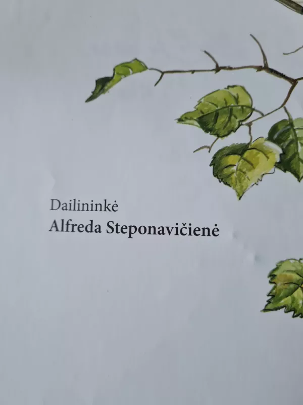 Girios mokyklėlė - Zita Gaižauskaitė, knyga 5