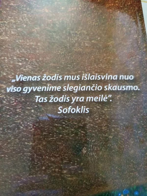 Menas mylėti - Erich Fromm, knyga 4