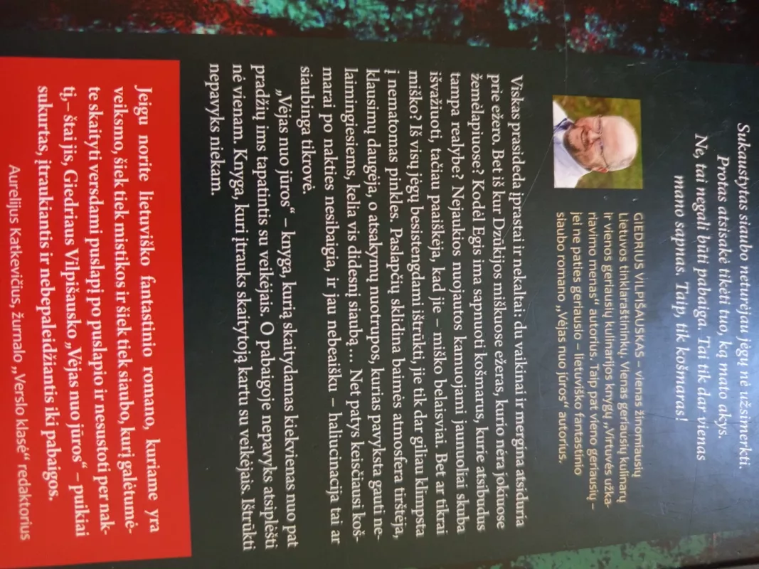 Vėjas nuo jūros - Giedrius Vilpišauskas, knyga 2