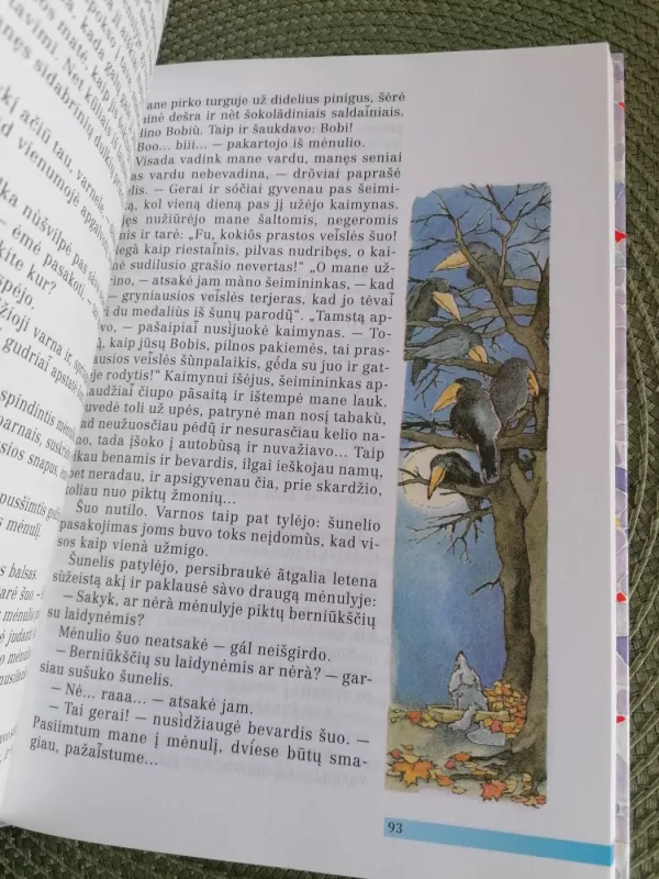 Lietuvių kalba 5 klasei (2 dalis) - Autorių Kolektyvas, knyga 5