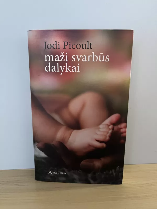 Maži svarbūs dalykai - Jodi Picoult, knyga 2