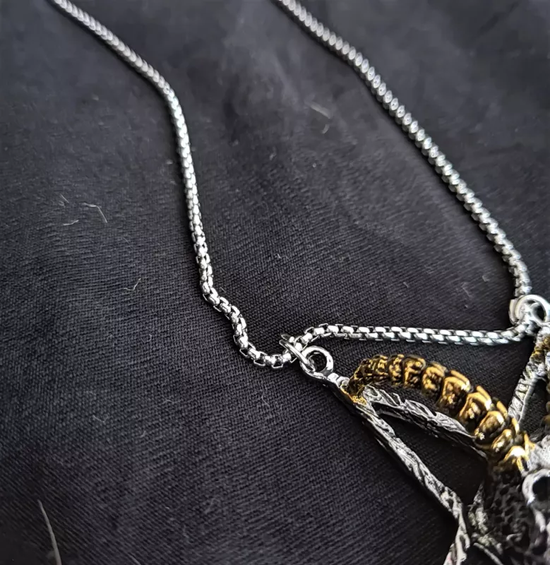 Vilnius. Architektūra iki XX amžiaus pradžios - Autorių Kolektyvas, knyga 3