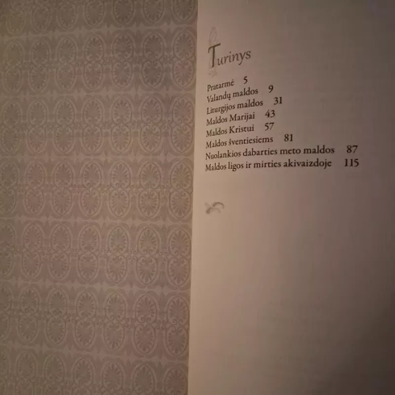 Kartūzų maldos - Nathalie Nabert, knyga 3