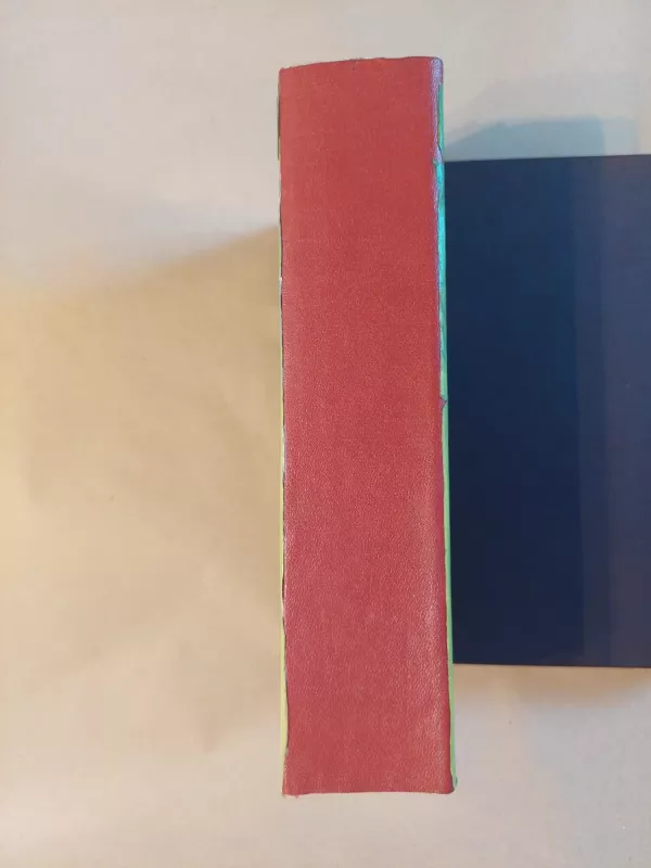 Sidro namų taisyklės - John Irwing, knyga 4