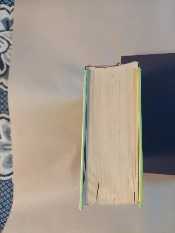 Sidro namų taisyklės - John Irwing, knyga 5