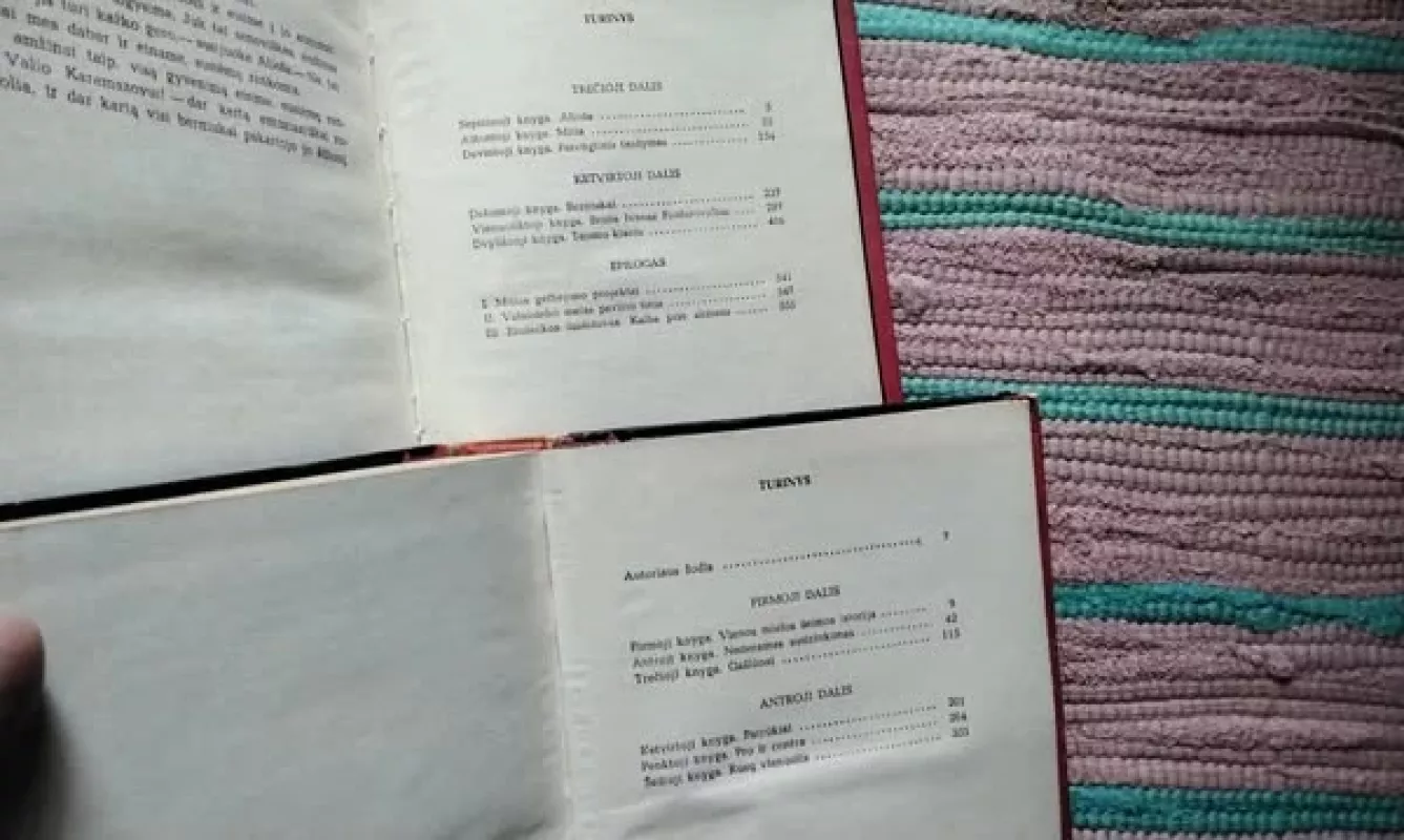 Broliai Karamazovai. 1-as tomas - Fiodoras Dostojevskis, knyga 3