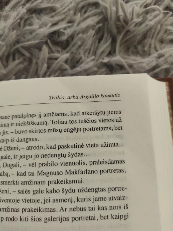 Prancūzų romantikų proza - Autorių Kolektyvas, knyga 4