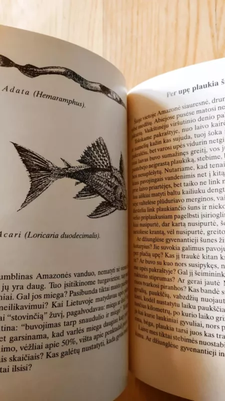 Velnio sala, Amazonės upė ir Brazilija - Algirdas Gustaitis, knyga 5