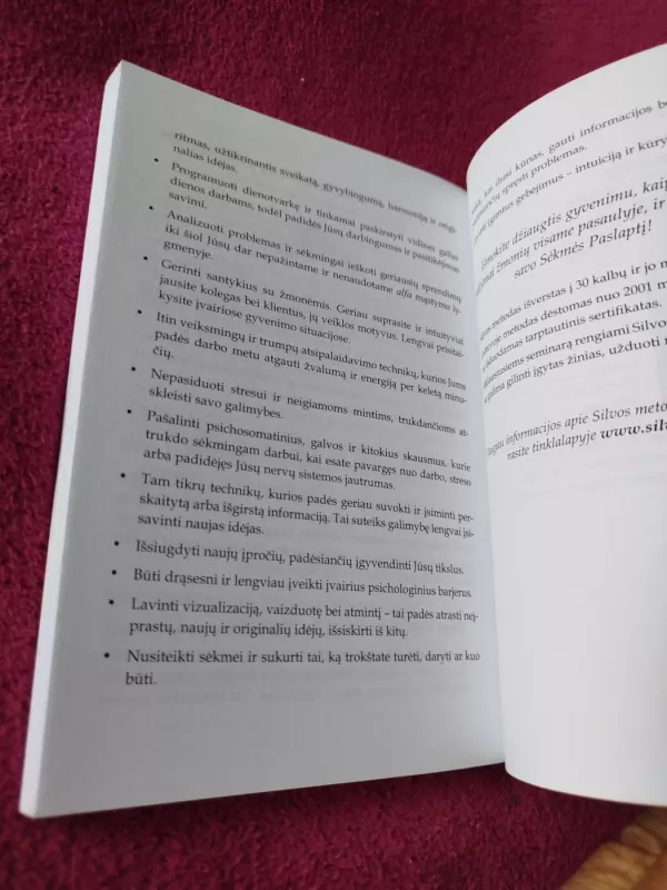 Magiška vaizduotės galia (Nėra CD) - Lee Pascoe, knyga 5