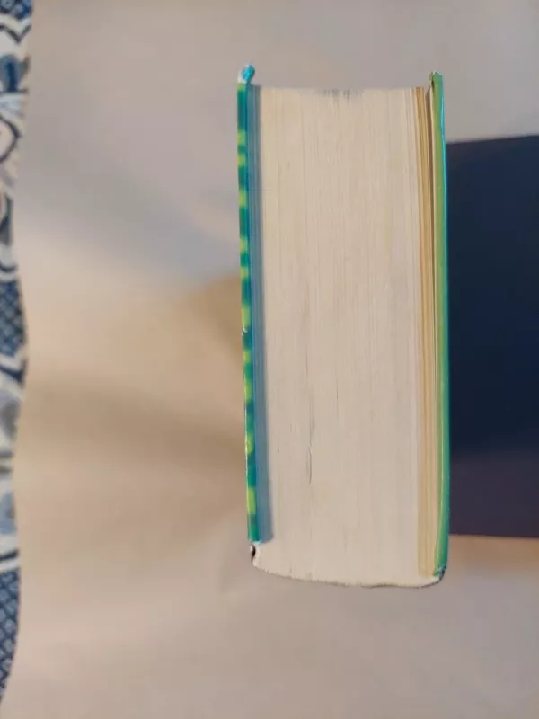 Sidro namų taisyklės - John Irwing, knyga 6