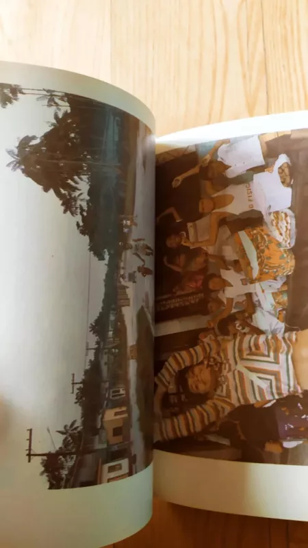 Velnio sala, Amazonės upė ir Brazilija - Algirdas Gustaitis, knyga 4