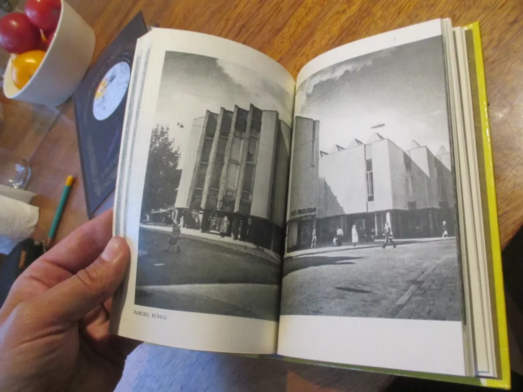 Vilnius. Turistui apie miestą. - Antanas Papšys, knyga 6