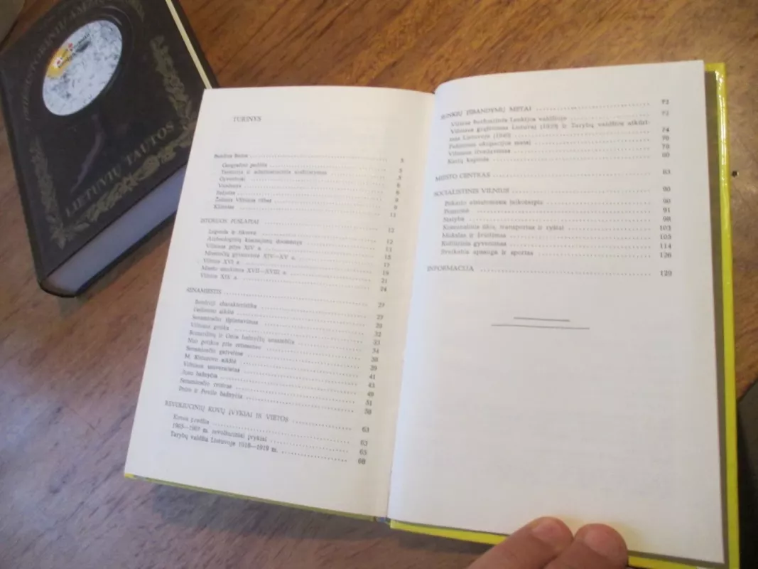 Vilnius. Turistui apie miestą. - Antanas Papšys, knyga 5