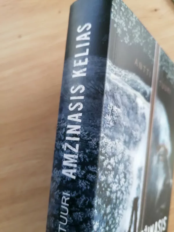 Amžinasis kelias - Antti Tuuri, knyga 3