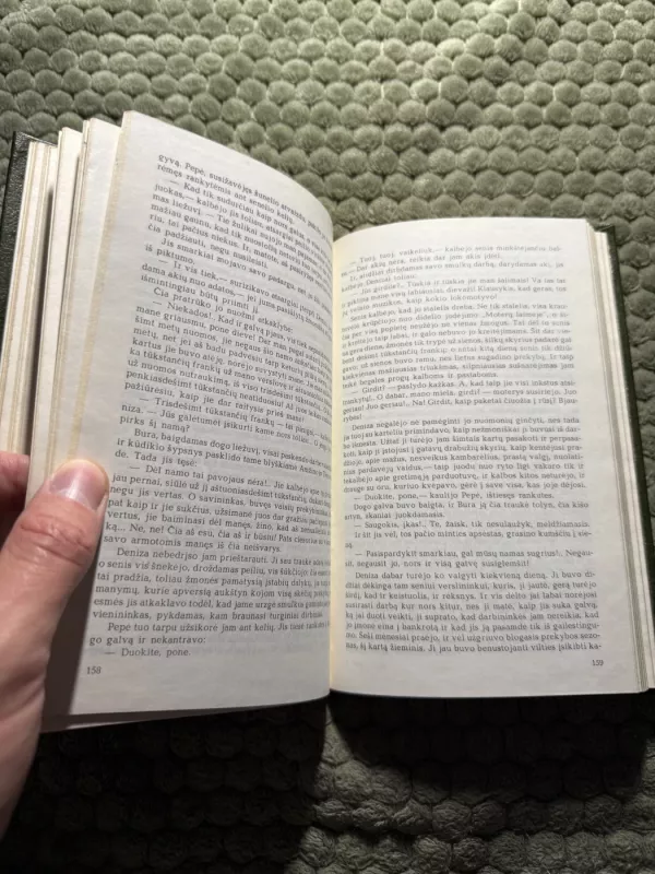 Moterų laimė - Emilis Zola, knyga 6