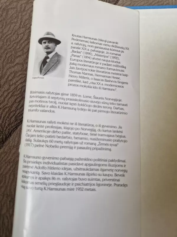 Badas - Knut Hamsun, knyga 2