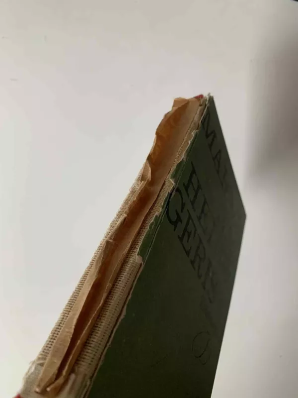 Rinktiniai raštai - Martynas Heidegeris, knyga 3