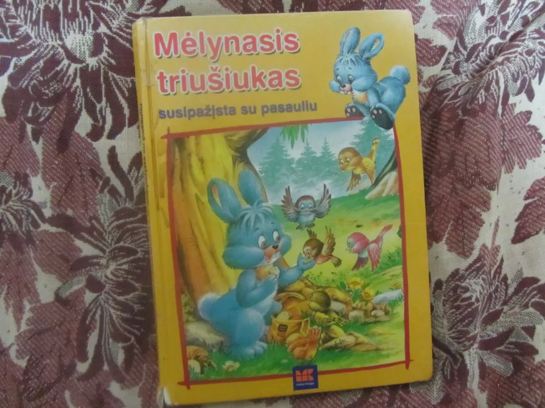 Mėlynasis triušiukas susipažįsta su pasauliu - J. Thomas-Bilstein, knyga 2