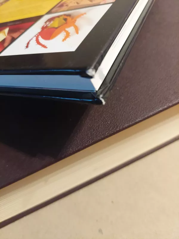 Rankdarbių iš popieriaus enciklopedija - Ayako Brodek, knyga 5