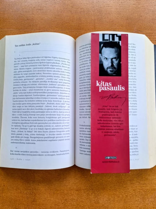 Kitas pasaulis 1993-2003 (esė rinktinė) - Rolandas Rastauskas, knyga 2