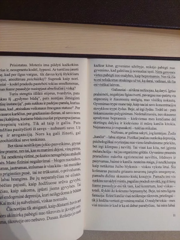 Beprotnamis - Vilis Normanas, knyga 4