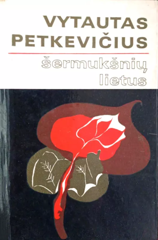 Šermukšnių lietus - Vytautas Petkevičius, knyga 2