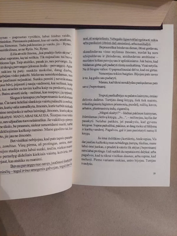 Beprotnamis - Vilis Normanas, knyga 5