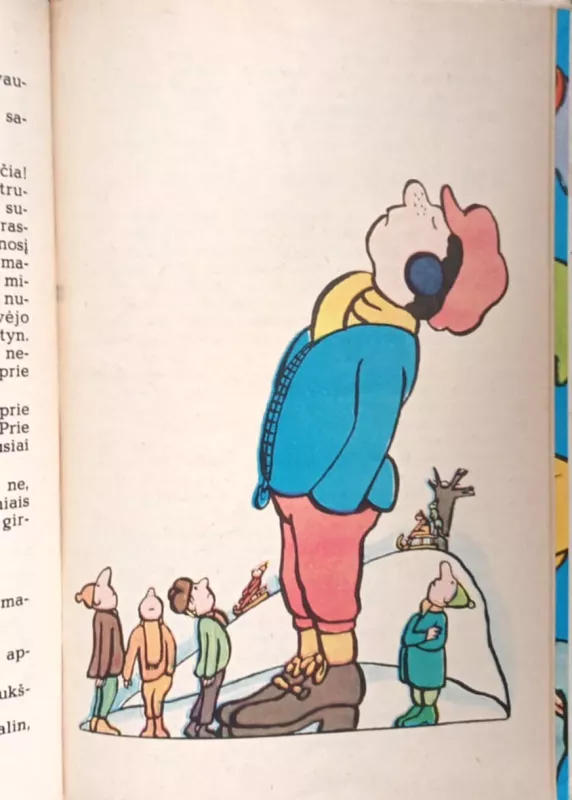 Alfonsas Bailius - Gerhardas Holcas-Baumertas, knyga 6