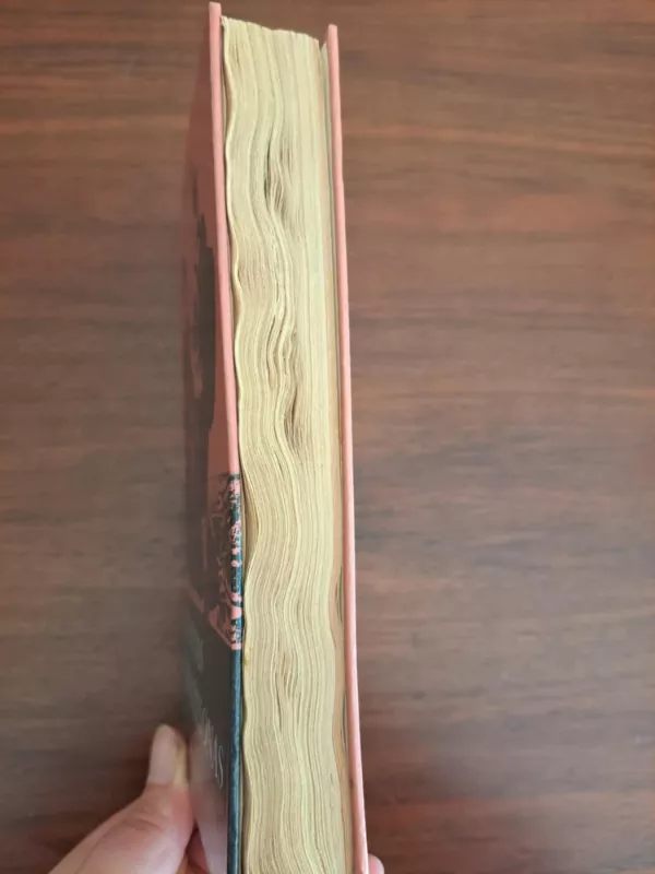 Vikontas de Braželonas - Aleksandras Diuma, knyga 5