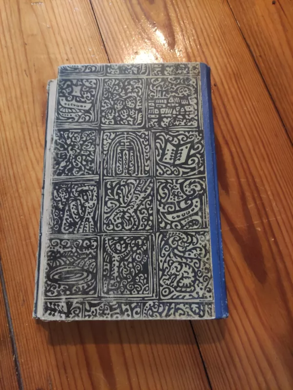 Agnieška, Kolumbo duktė - V. Machas, knyga 4