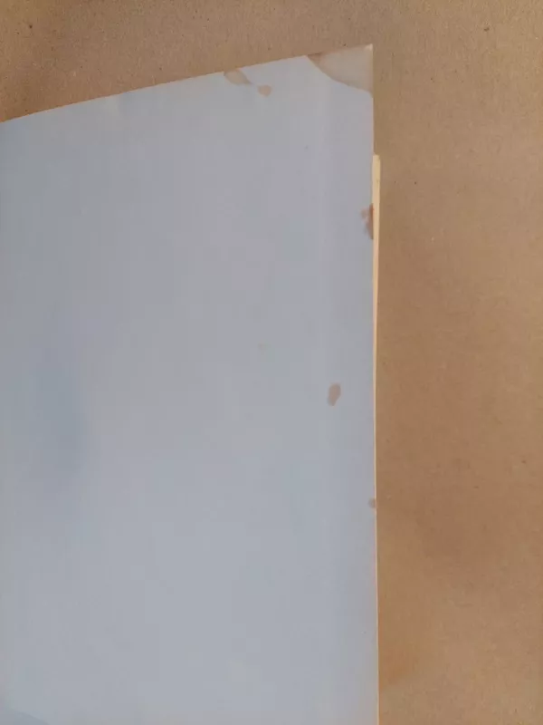 Jūrų vilkas - Džekas Londonas, knyga 3