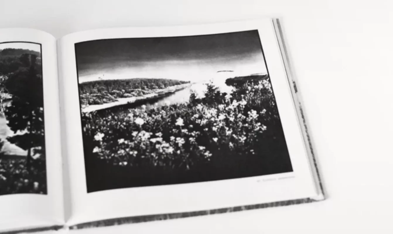 Alytus - Zenonas Bulgakovas, knyga 3