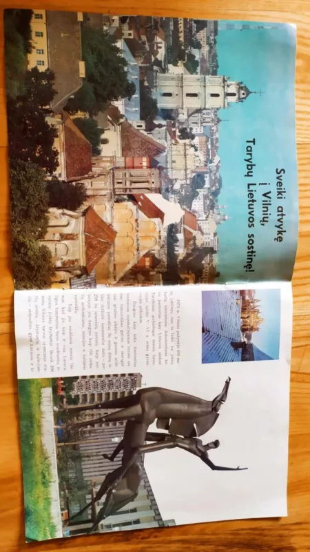 Vilnius. Mažasis vadovas - Antanas Papšys, knyga 4